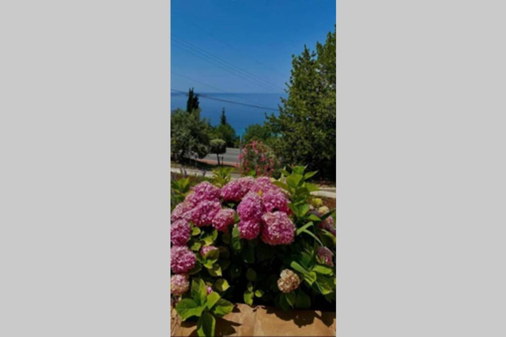 Villa Pergola -Apartment Roko Млини Экстерьер фото